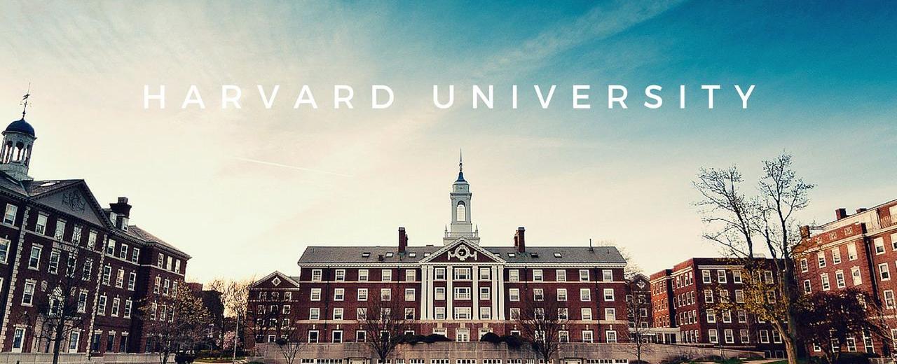 Навчання в ІТ сфері: 5 безкоштовних курсів від Гарвардського університету